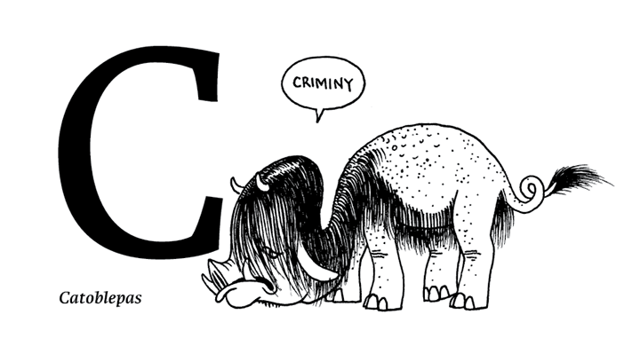 Lamentations of Ridiculous Creatures by Shawn Cheng