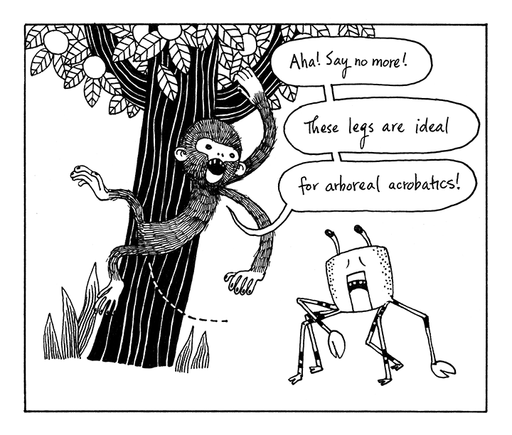 The Monkey & The Crab by Shawn Cheng