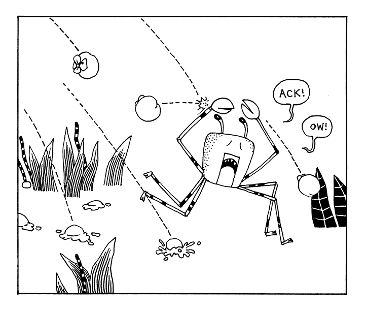 The Monkey & The Crab by Shawn Cheng