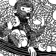 The Monkey & The Crab